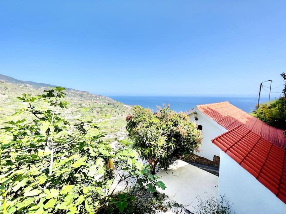 Mar A Vista By Your Madeira Rentals Ponta do Sol  Extérieur photo